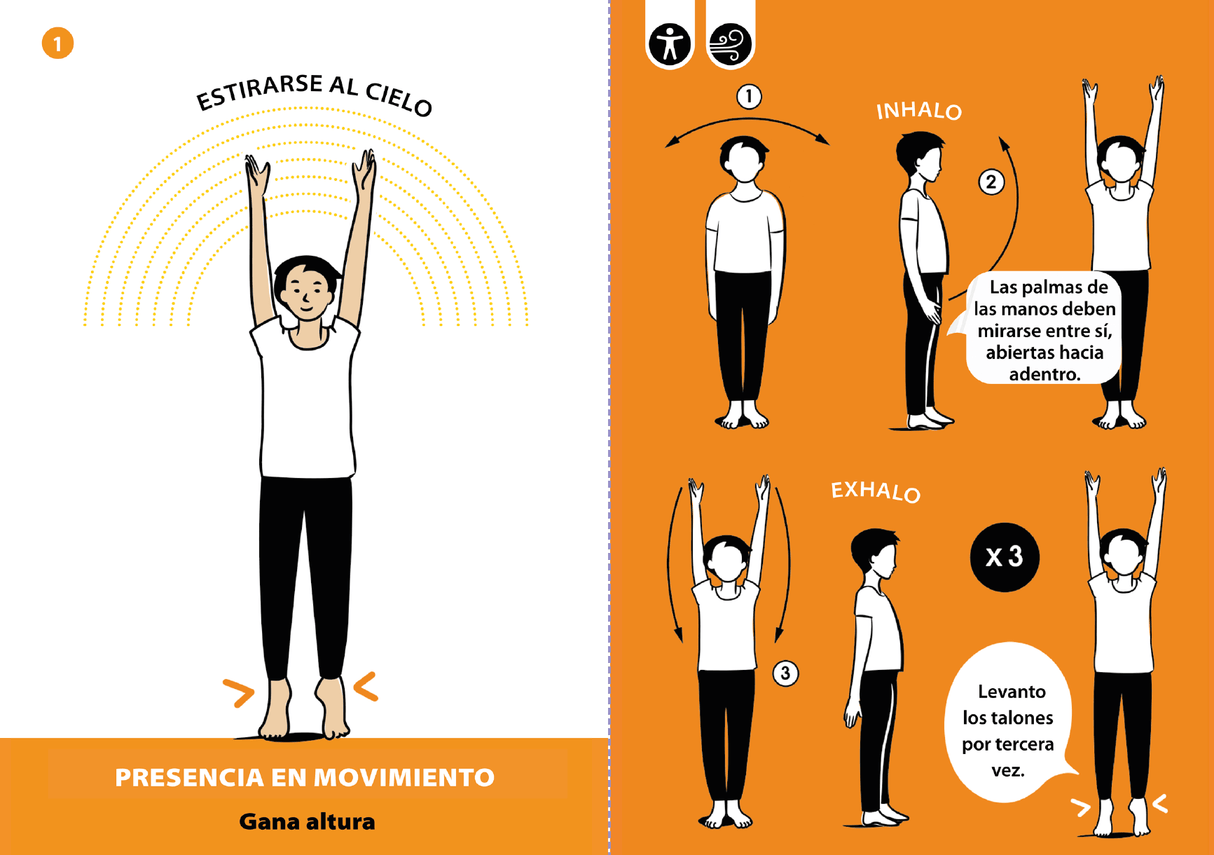 p-e-a-c-e-un-programa-para-el-desarrollo-de-la-atencion-y-de-las-habilidades-psicosociales