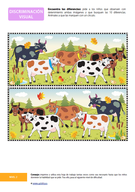 desarrollo-de-la-discriminacion-visual