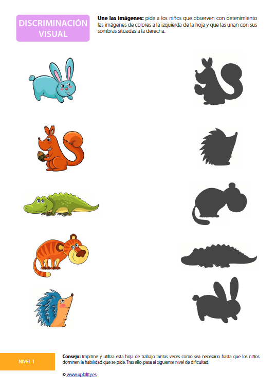 desarrollo-de-la-discriminacion-visual