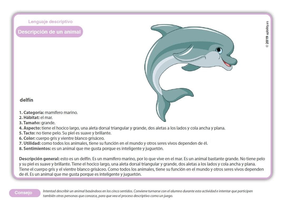 desarrollo-de-las-habilidades-descriptivas-paso-a-paso