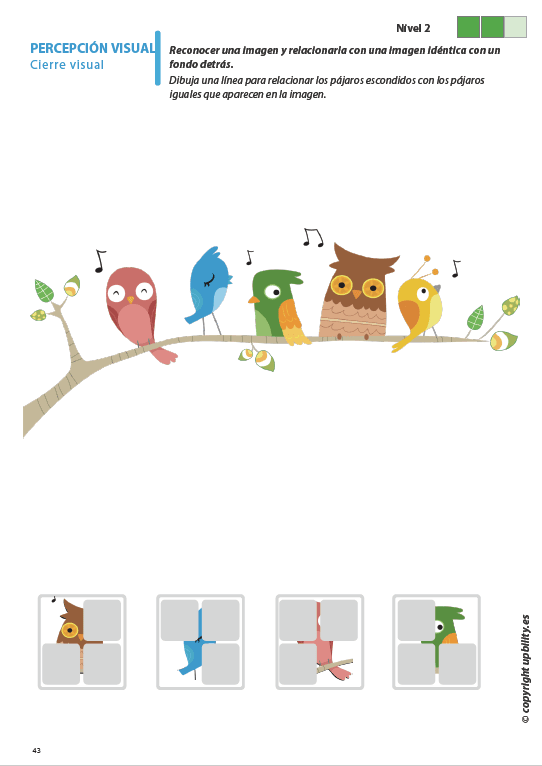 habilidades-de-percepcion-visual-para-ninos-con-dislexia-parte-1-cierre-visual