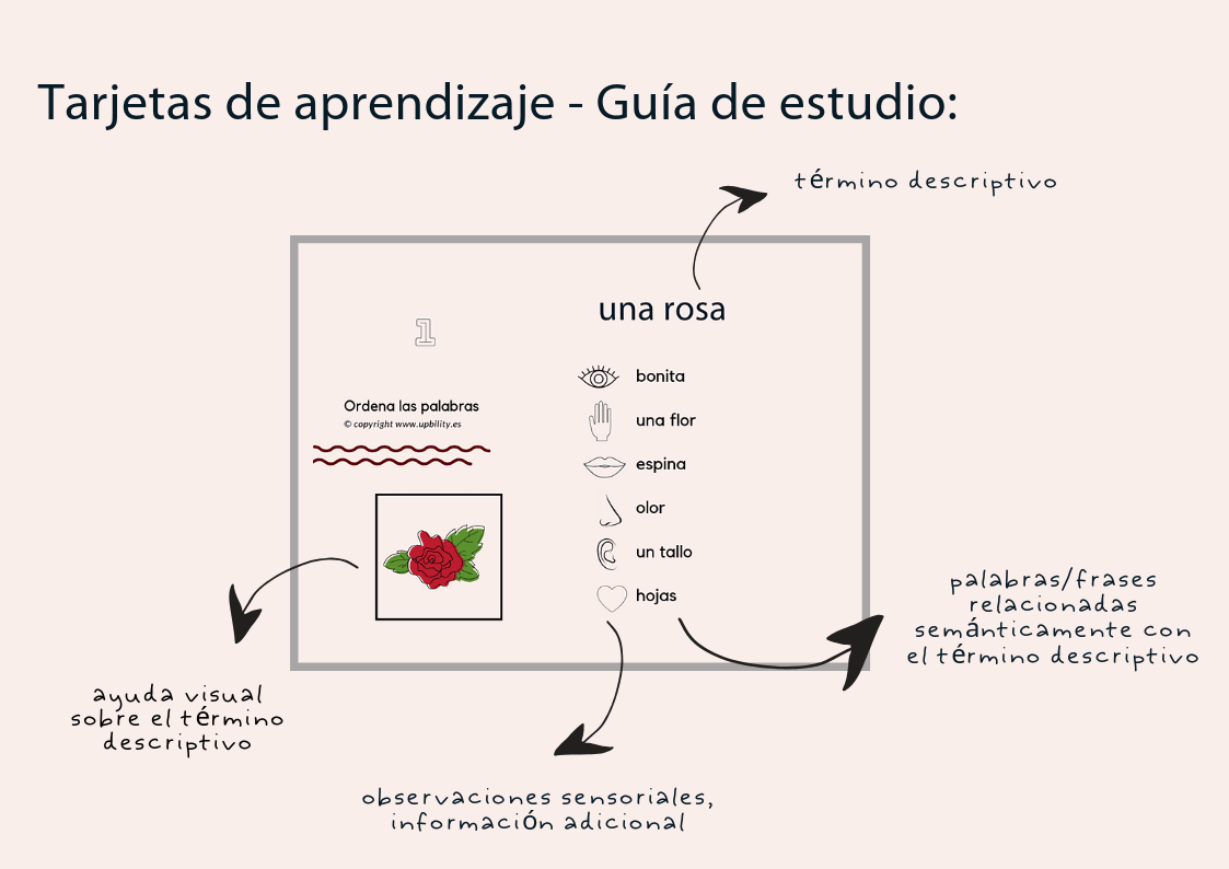 tarjetas-de-bolsillo-descripcion-no-1