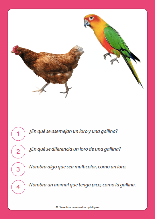 TARJETAS ILUSTRADAS | Compara y contrasta - Upbility ES