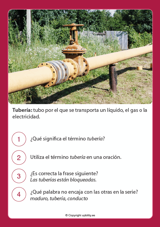 tarjetas-ilustradas-de-refuerzo-de-vocabulario-12-13-anos