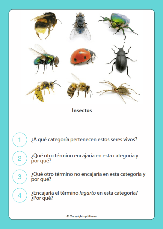 tarjetas-ilustradas-juego-de-categorizacion-para-el-desarrollo-del-pensamiento-critico