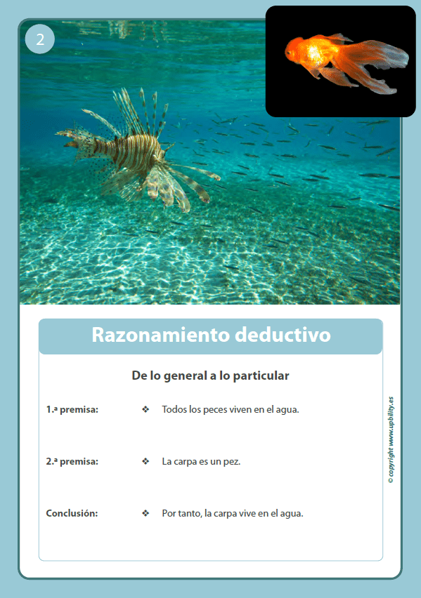 tarjetas-ilustradas-razonamiento-logico