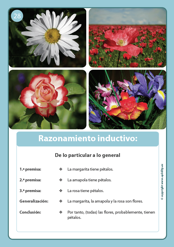 tarjetas-ilustradas-razonamiento-logico