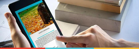 Psicopedagogía | Upbility ES