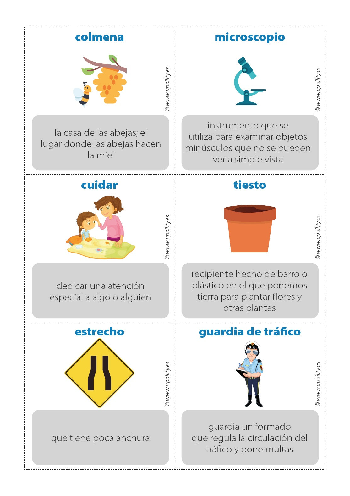 Adivina la palabra | TARJETAS DE VOCABULARIO