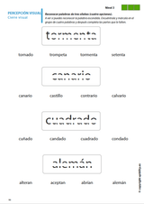 Habilidades de percepción visual para niños con dislexia | SERIE DE 7 LIBROS DIGITALES