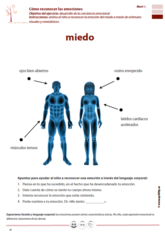 como-reconocer-expresar-y-controlar-las-emociones-nivel-basico