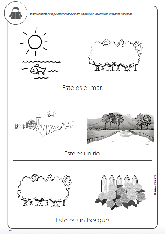 desarrollo-de-la-comprension-lectora-en-ninos-con-trastornos-del-espectro-autista-parte-2