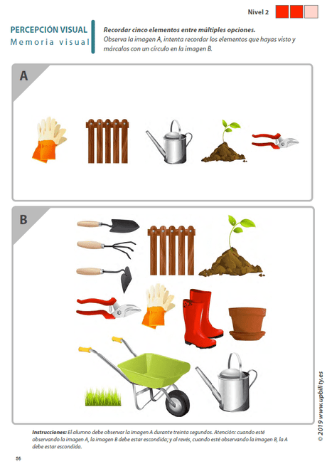 habilidades-de-percepcion-visual-para-ninos-con-dislexia-parte-4-memoria-visual