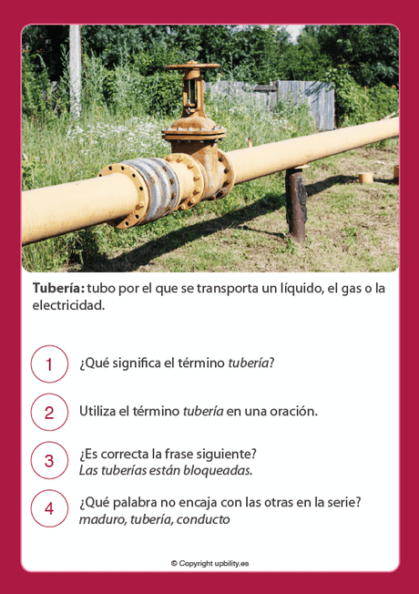 tarjetas-ilustradas-de-refuerzo-de-vocabulario-12-13-anos