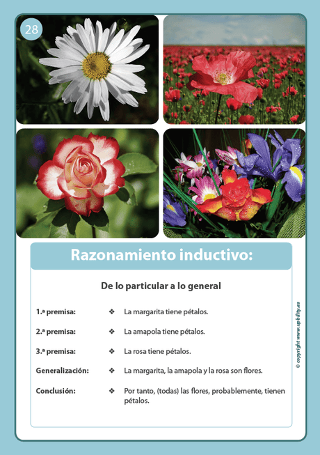 tarjetas-ilustradas-razonamiento-logico